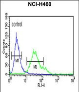 CD64 Antibody in Flow Cytometry (Flow)