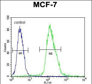 MFAP4 Antibody in Flow Cytometry (Flow)