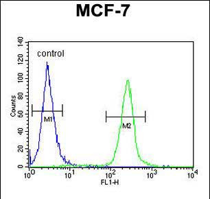 FAM20A Antibody in Flow Cytometry (Flow)