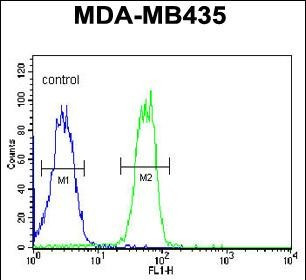 BTNL8 Antibody in Flow Cytometry (Flow)