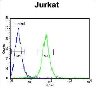 HVCN1 Antibody in Flow Cytometry (Flow)