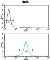 NAT13 Antibody in Flow Cytometry (Flow)