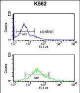 H3K9me2 Antibody in Flow Cytometry (Flow)