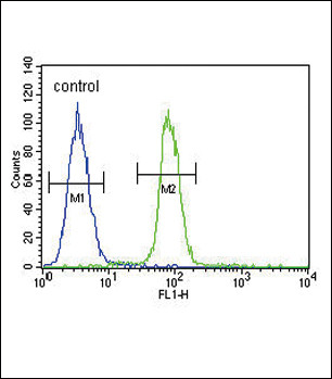 S100B Antibody in Flow Cytometry (Flow)