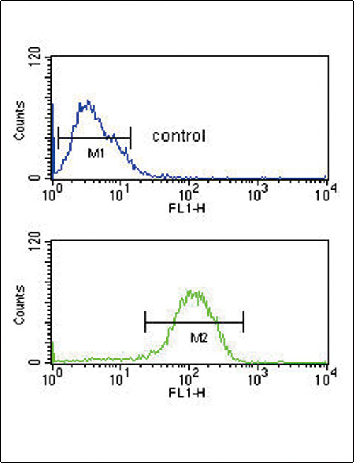 PYY Antibody in Flow Cytometry (Flow)