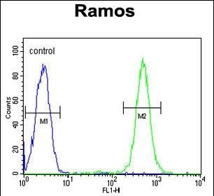 C19orf63 Antibody in Flow Cytometry (Flow)