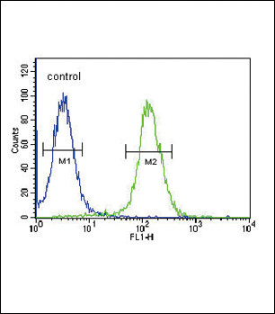 NPFF Antibody in Flow Cytometry (Flow)