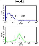 RSAD1 Antibody in Flow Cytometry (Flow)