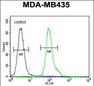 NPM3 Antibody in Flow Cytometry (Flow)