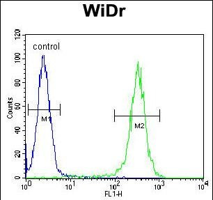 B4GALT5 Antibody in Flow Cytometry (Flow)