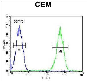 FADS2 Antibody in Flow Cytometry (Flow)