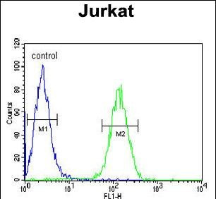 AXIN2 Antibody in Flow Cytometry (Flow)