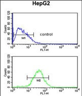 WDR43 Antibody in Flow Cytometry (Flow)