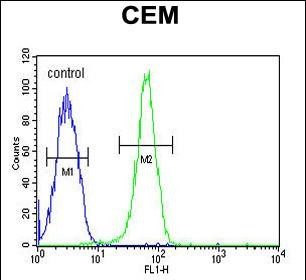 KIF24 Antibody in Flow Cytometry (Flow)