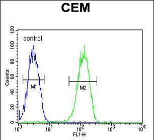 BIN2 Antibody in Flow Cytometry (Flow)