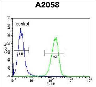 GSTO2 Antibody in Flow Cytometry (Flow)