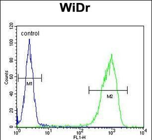 TANK Antibody in Flow Cytometry (Flow)