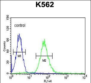 ADCY10 Antibody in Flow Cytometry (Flow)