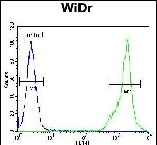 C4BPA Antibody in Flow Cytometry (Flow)