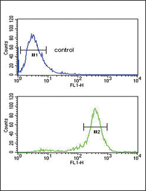 Calreticulin Antibody in Flow Cytometry (Flow)