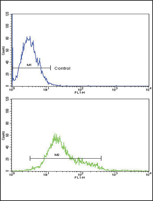 CSF1R Antibody in Flow Cytometry (Flow)