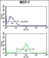 JIP1 Antibody in Flow Cytometry (Flow)