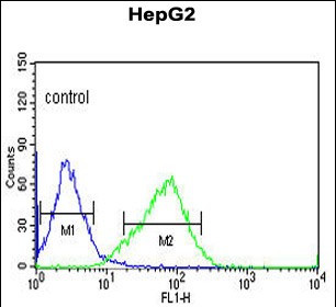 OR2H2 Antibody in Flow Cytometry (Flow)