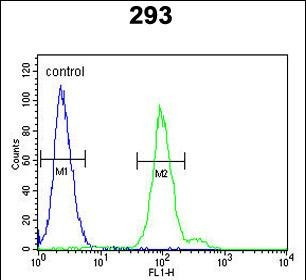 Complement Factor B Antibody in Flow Cytometry (Flow)