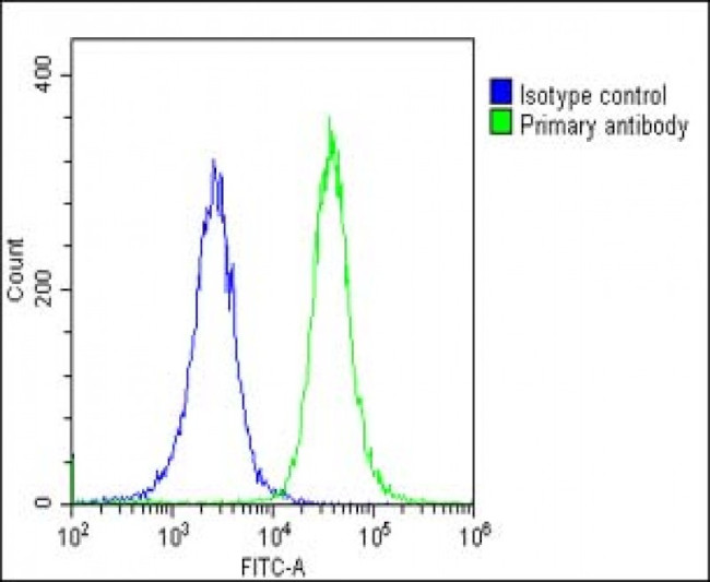 CYP27B1 Antibody in Flow Cytometry (Flow)