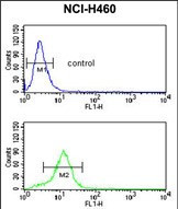 ESRRB Antibody in Flow Cytometry (Flow)