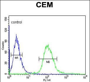 UTY Antibody in Flow Cytometry (Flow)