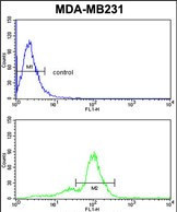 Acrosin Antibody in Flow Cytometry (Flow)