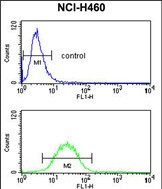 Fibulin 3 Antibody in Flow Cytometry (Flow)