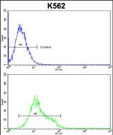 ULK1 (denatured) Antibody in Flow Cytometry (Flow)