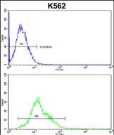 AMPD2 Antibody in Flow Cytometry (Flow)