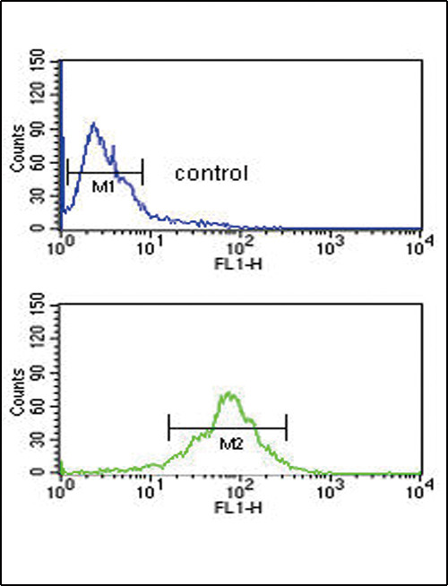 ACOT8 Antibody in Flow Cytometry (Flow)