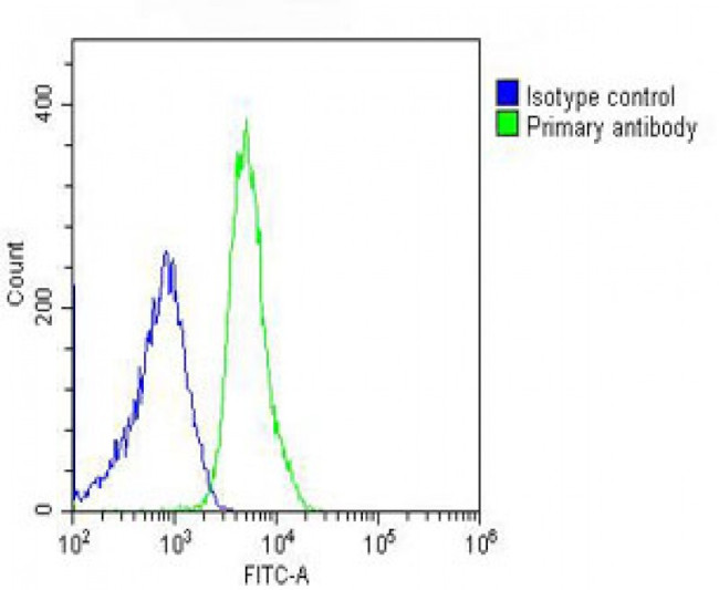 Cdc73 Antibody in Flow Cytometry (Flow)