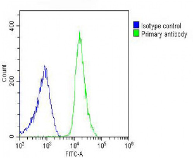 Cdc73 Antibody in Flow Cytometry (Flow)