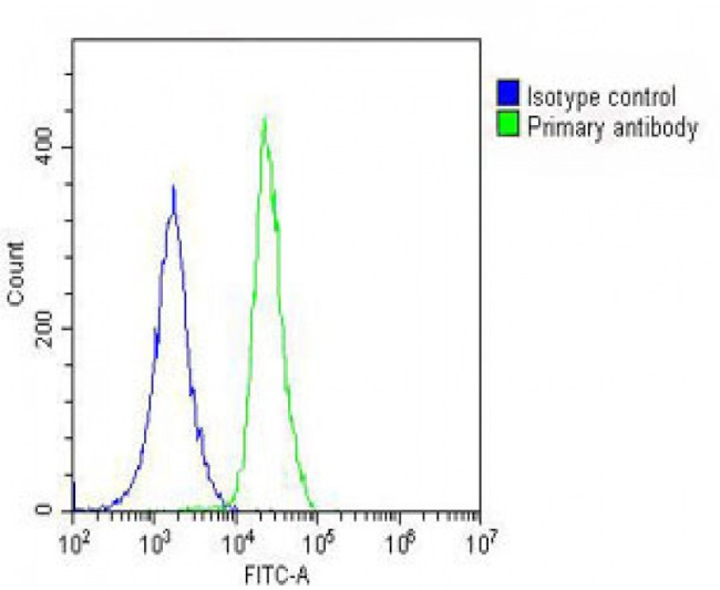 ANGPTL4 Antibody in Flow Cytometry (Flow)