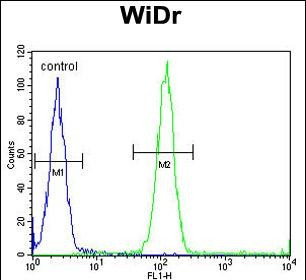 ASIC2 Antibody in Flow Cytometry (Flow)