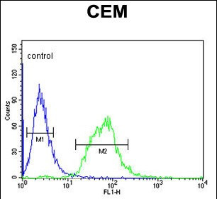 SLC22A6 Antibody in Flow Cytometry (Flow)