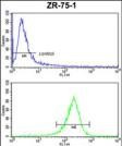 Ataxin 3 Antibody in Flow Cytometry (Flow)