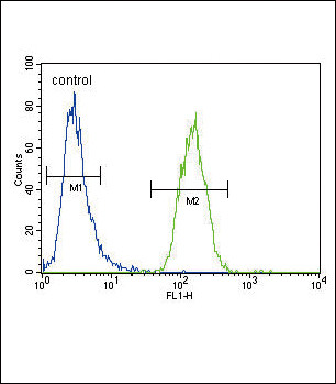 XDH Antibody in Flow Cytometry (Flow)