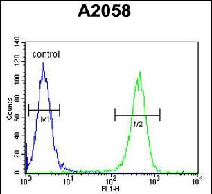 GFPT2 Antibody in Flow Cytometry (Flow)