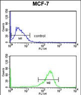 SELT Antibody in Flow Cytometry (Flow)