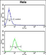 LPCAT1 Antibody in Flow Cytometry (Flow)