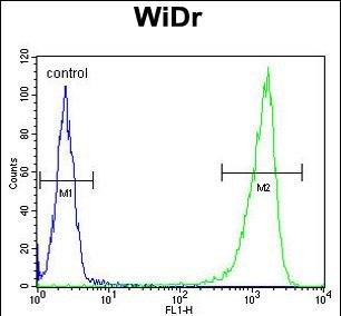 GUSB Antibody in Flow Cytometry (Flow)