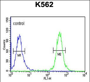 TREF1 Antibody in Flow Cytometry (Flow)