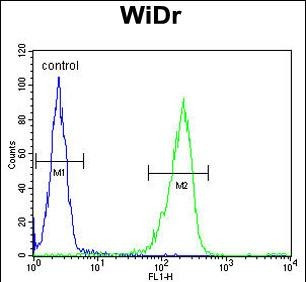 IL-31 Antibody in Flow Cytometry (Flow)