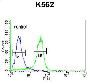 JMJD2B Antibody in Flow Cytometry (Flow)